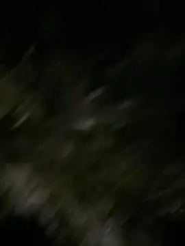 rikiisaac5 online show from November 15, 8:45 am