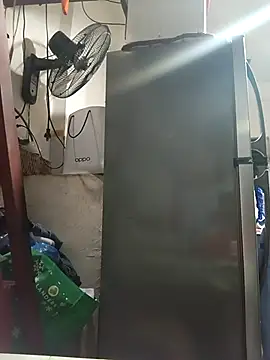 Wildcam21 online show from March 3, 11:17 am