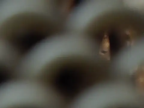 Mooree naba online show from September 23, 11:37 am