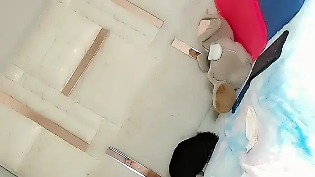 Sophiaa doll  online show from February 28, 3:57 am