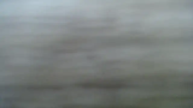 DAPHNE doll online show from March 8, 2:53 pm