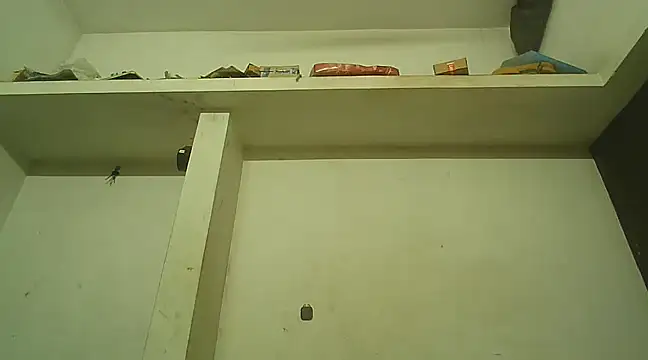 Akhilamolu the transsissy online show from February 8, 5:39 pm