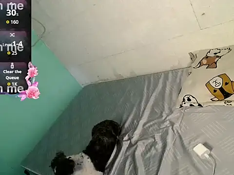 katie white online show from September 14, 3:38 pm