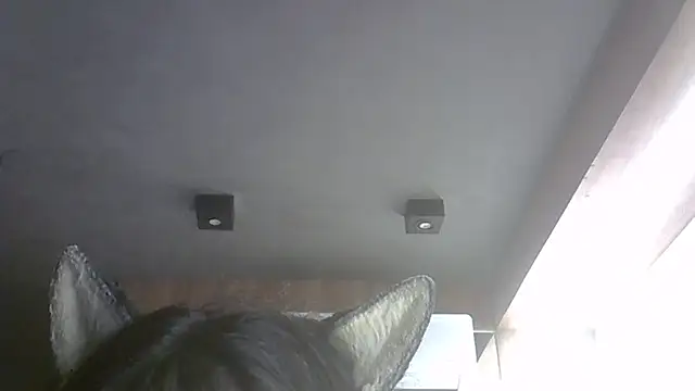 Skinny-Kitten online show from February 9, 4:08 am